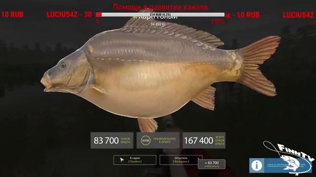 Стрим Русская рыбалка 4 Медвежка смотреть онлайн