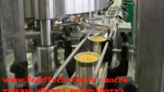 линия перереботки тыквы, томатов смотреть онлайн