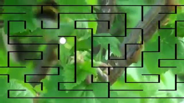 А.Повх "Медитация- Сад" смотреть онлайн