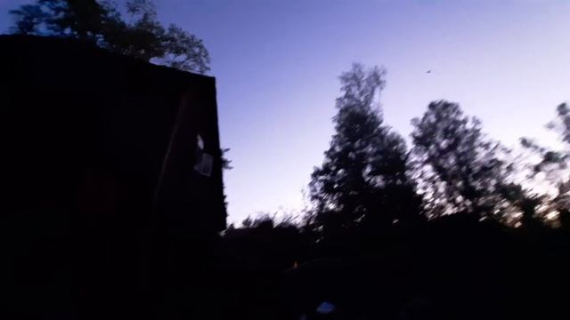 Летучая мышь смотреть онлайн