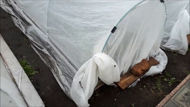 У нас похолодание!/На даче спасаем рассаду/ Покой нам только снится! смотреть онлайн