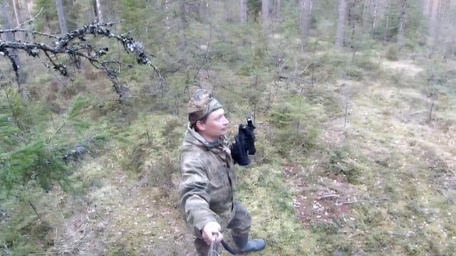 КАК ПОДОЙТИ К ТОКУЮЩИМУ ГЛУХАРЮ ПО СВЕТЛУ// КЛАССИЧЕСКИЙ ПОДХОД К ДВУМ ГЛУХАРЯМ. смотреть онлайн