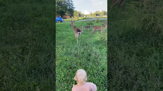 2024 08 11 2 КОЛКУНОВО 1ДЕНЬ  4К.mp4