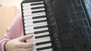 Под окном черемуха колышется, караоке под аккордеон