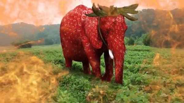 Strawberry Elephant 10 Hours