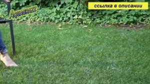 как правильно сеять газон на даче