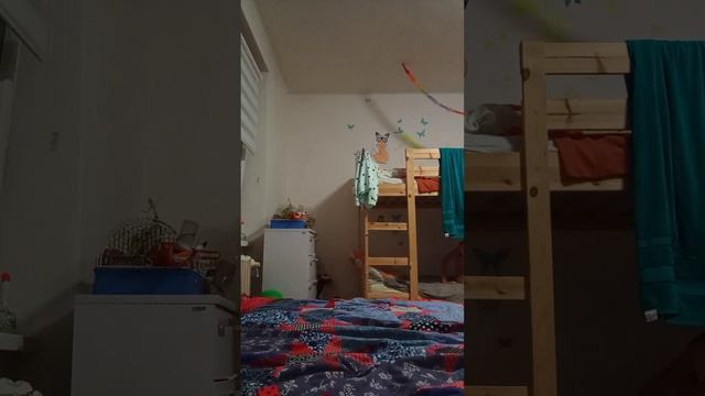 6. září 2023 смотреть онлайн