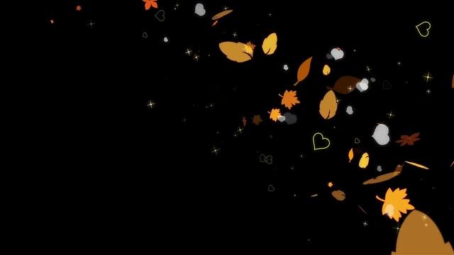 Футаж Осенние листья 09 с альфаканалом смотреть онлайн