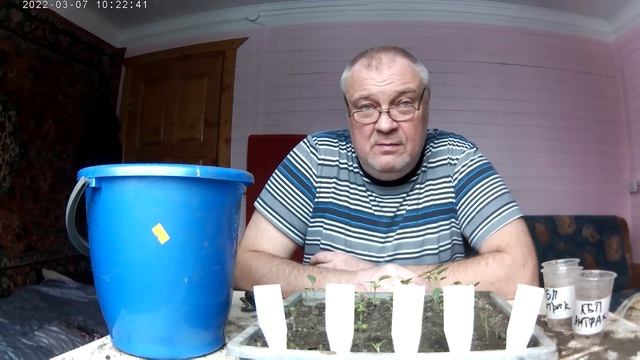 Капуста Пикировка рассады смотреть онлайн