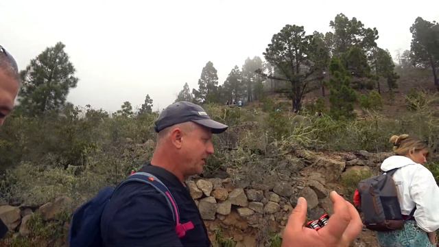 Руины Тенерифе 2020. Едим кактусы. Гуляем по горам. Пикник. смотреть онлайн