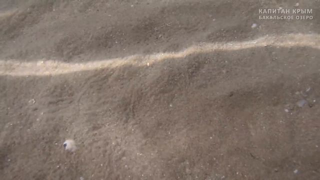 БАКАЛЬСКОЕ ОЗЕРО И КОСА. ЗАПАДНЫЙ КРЫМ. КАПИТАН КРЫМ. КРЫМ 2017