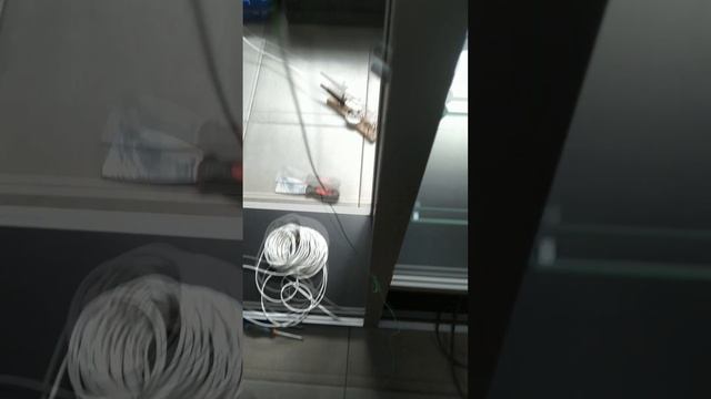 Монтаж освещения в табачном павильоне смотреть онлайн