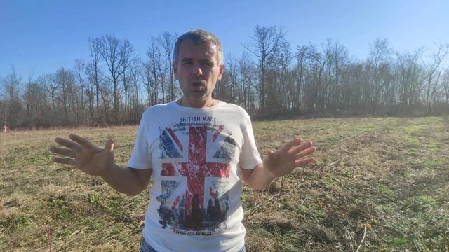 Новый 2021 год 01 января голубика растёт в стружке без торфа смотреть онлайн