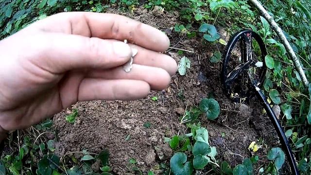 Вдоль старинной деревни смотреть онлайн