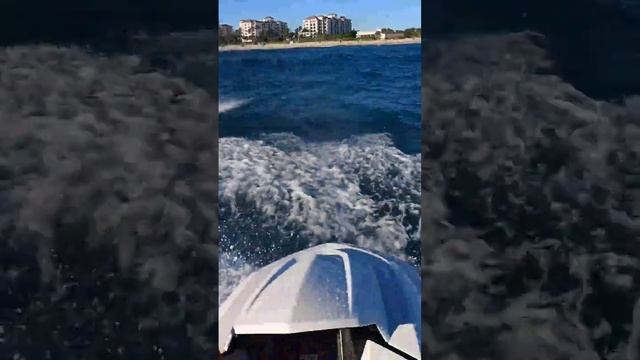 An Ocean Adventure #florida #yamaha #gp1800r #waverunner #seadoo #oceanlife #kawasaki смотреть онлайн