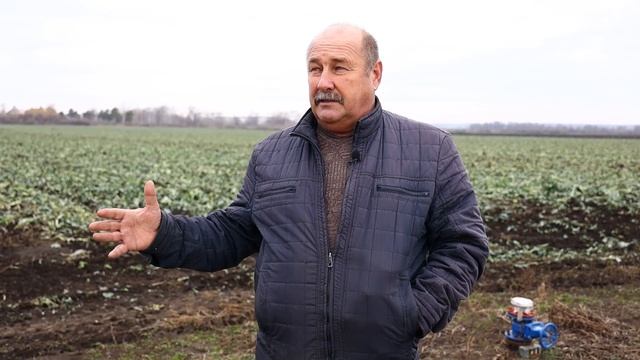 Уборка картофеля/ Урожай лука, брокколи, моркови в 2021 году/ Отгрузка подсолнечника смотреть онлайн