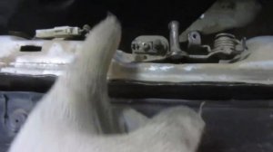 Почему то не закрывается задний багажник.Буду разбираться.