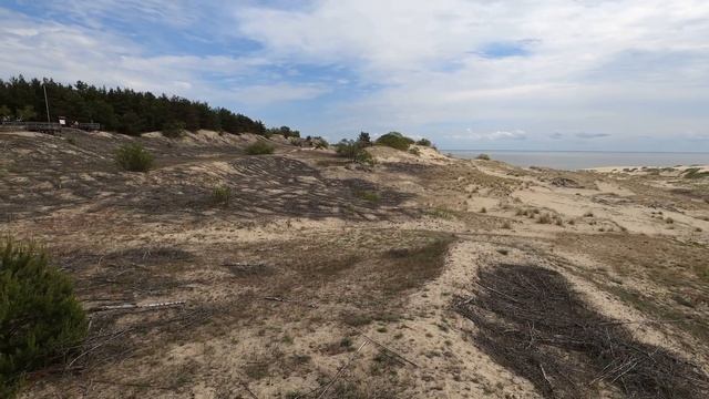 Куршская Коса: высоты Мюллера и Эфа, Королевский бор, Зеленоградск – обзор путешествия 2022 смотреть онлайн