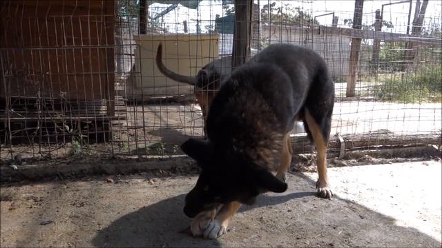 Lexus 15 смотреть онлайн