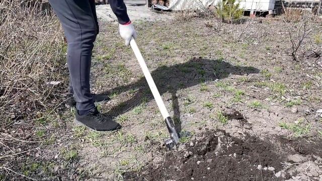 Посадка газона своими руками смотреть онлайн