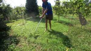 Stihl FS 40