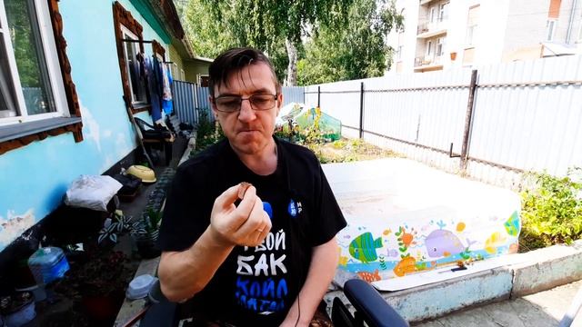 Утиный цирроз печени Фуа-гра! Это жесть товарищи! смотреть онлайн