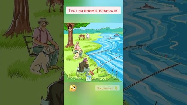 Прикольный тест. Тест на внимательность. Загадка смотреть онлайн