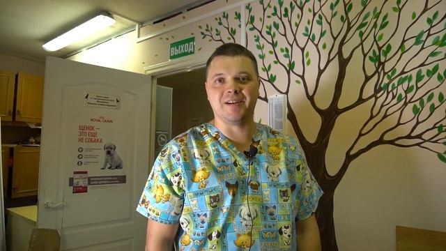 Почему собака трясет головой? Инородное тело в ушах. смотреть онлайн