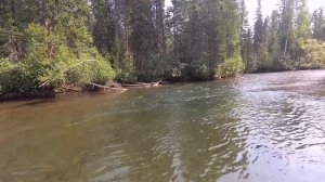 Мотор болотоход с длинным валом. По мелководью на таёжной речке.