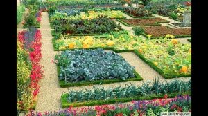 Планируем грядки.Красивый огород.