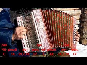 Чёрный ворон (разбор на гармони)