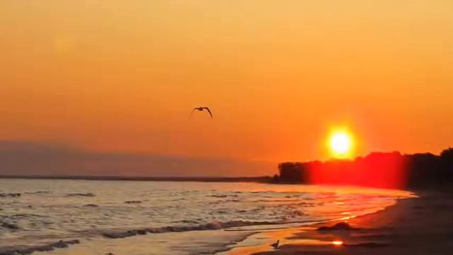 Richard Clayderman, Romeo And Juliet, Theme HD