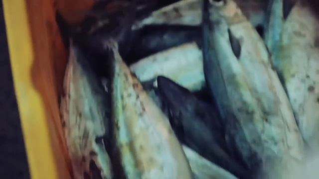 Малайзия - прекраснейшее место на Земле! смотреть онлайн