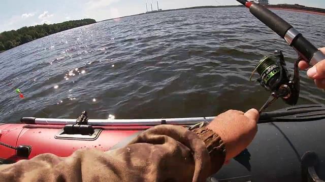 Ловля леща на Волге на кольцо.