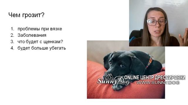 Нужно ли вязать кобеля или нет? полезна ли вязка для здоровья? Что будет если развязать кобеля смотреть онлайн