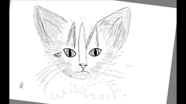 HOW TO DRAW A CAT. как рисовать кота. смотреть онлайн
