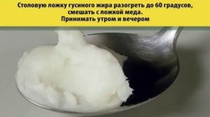 ГУСИНЫЙ ЖИР ! ЧЕМ ОН ПОЛЕЗЕН !?