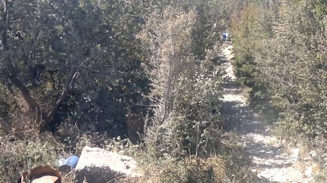 Покатушки новороссийск смотреть онлайн