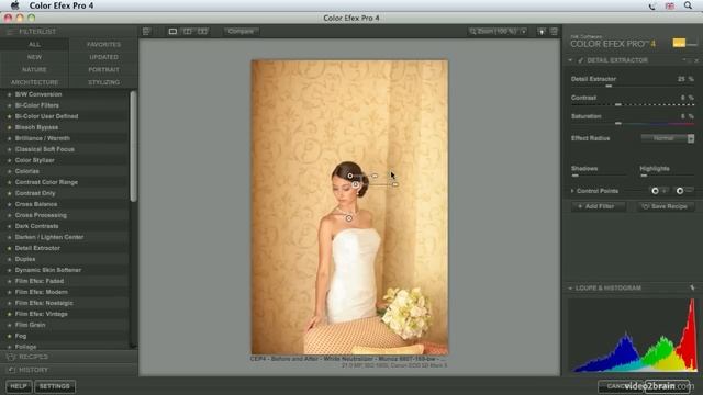 Detail Extractor Filter