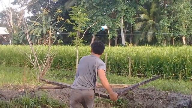 Backyard Tilapia Farming| Giant Tilapia Pond Expansion смотреть онлайн