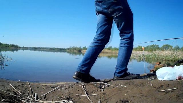 когда оставил фидер без присмотра!!! смотреть онлайн