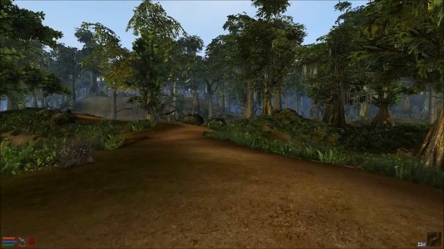 Morrowind Overhaul Sounds and Graphics 2.0.1 Gameplay 1080p HD HQ смотреть онлайн