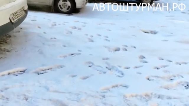 Видеоотзыв. Турин ромб. Экокожа. Чёрный + красные нити 3 смотреть онлайн