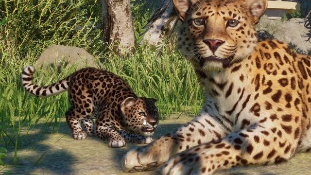 Amur Leopard, Axolotl, Dan Banyak Item Baru!!! | Planet Zoo Conservation Pack смотреть онлайн