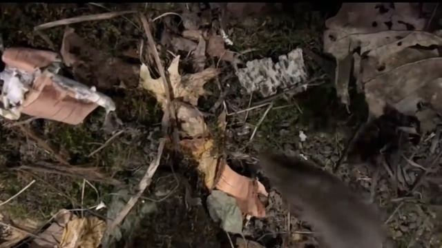 Ласка Неугомонный убийца HD смотреть онлайн