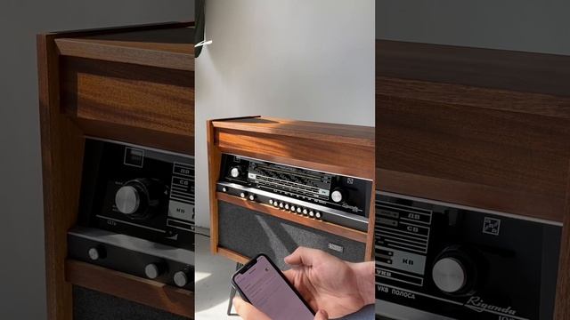 Инструкция для радиолы Ригонда 102 от Lagom Woo смотреть онлайн