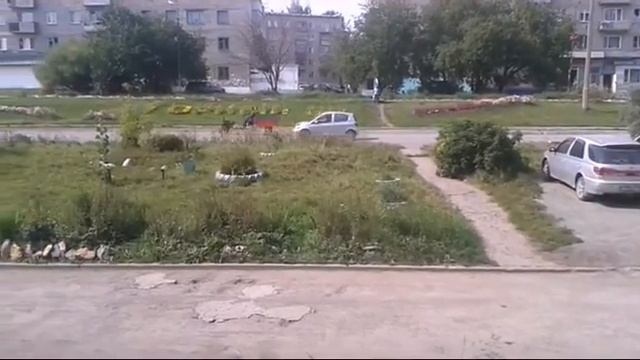 Vines #1 МОТОЦИКЛ смотреть онлайн