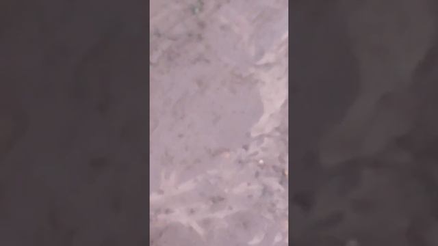 Дорога жизни в поселке обильном крыловского района смотреть онлайн
