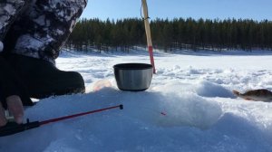 Зимняя рыбалка на Кольском п острове  оз  Имандра