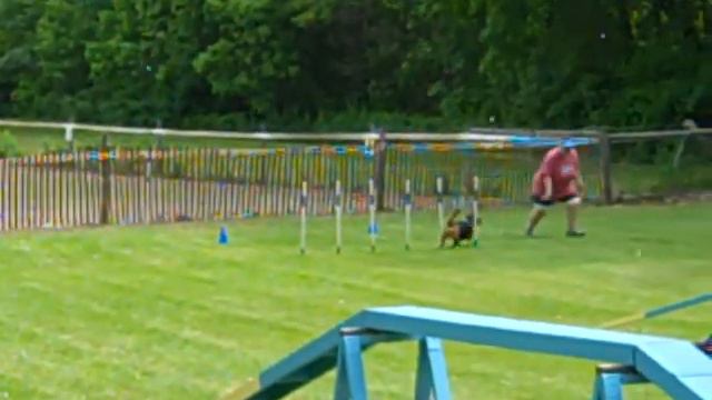 Lisa and Buford running Standard.MP4 смотреть онлайн